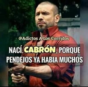 Meet your Posher, Agustin